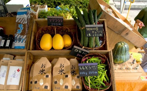 【礒崎遼太郎の農輪考】大阪中之島マルシェに自然農法の生産者として出店してみたらわかったこと 画像