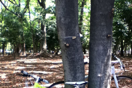 アースデイがサイクリング体験などで盛り上がる 画像