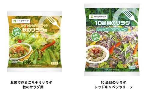 旬の野菜をふんだんにパッケージングしたサラダセットを発売 画像