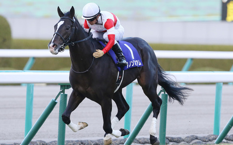 【競馬】天皇賞・秋 アーモンドアイ連覇の確率は0.0%? データが導く死角とは 画像