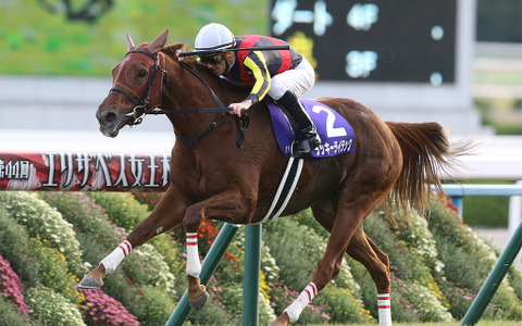 【競馬】エリザベス女王杯 ラッキーライラック騎乗のルメール騎手にとって『不吉』なデータとは 画像