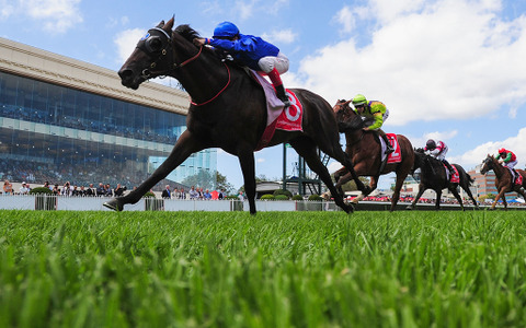 【競馬】アーモンドアイがジャパンC優勝　芝GI9勝目、有終の美を飾る 画像