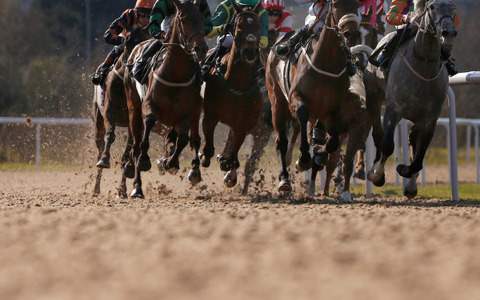 【競馬】東京大賞典はオメガパフュームが接戦を制し3連覇達成 画像