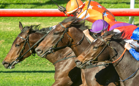 【競馬】「大阪杯」コントレイルとグランアレグリアの明暗を分ける「100%データ」に迫る 画像