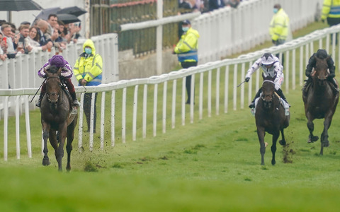 【競馬】欧州の大種牡馬ガリレオ、23歳で死す　怪物フランケルなどを輩出 画像