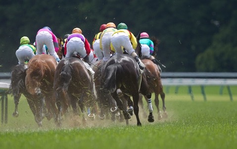 【秋華賞／馬場情報】阪神芝は芝「稍重」でクッション値は“やや軟らかめ”に近い「8.1」　上がりを要して前が止まらない 画像