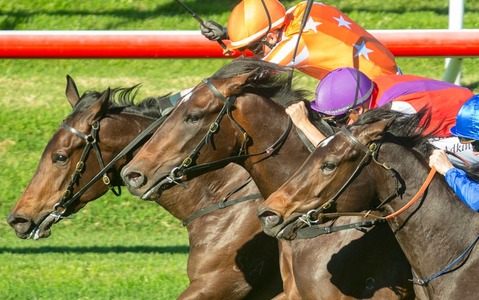 【アルゼンチン共和国杯／データ攻略】波乱含みの難解ハンデ戦　有力馬を後押しする「好走テリトリー」とは 画像