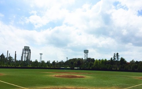 【プロ野球】日ハム新庄監督、キャンプ初視察からSNSフル活用　選手も“野球少年”に変貌した集合写真が話題 画像