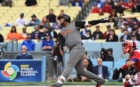 【プロ野球】シーズン最多本塁打記録保持者、ウラディミール・バレンティン引退　60本の夢をありがとう 画像