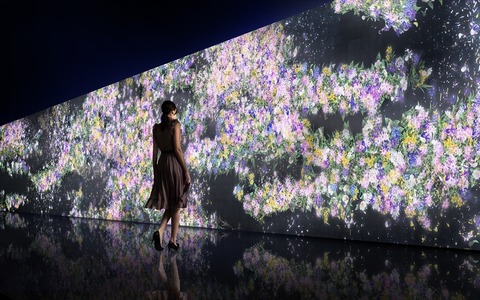暗闇に広がる花々の世界「幻想的で儚くきれい」…チームラボ作成　GUCCI新宿 画像
