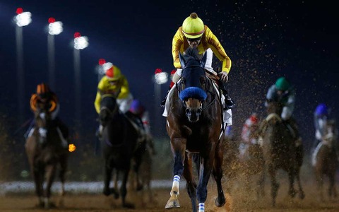 【サウジカップデー】日本馬の悲願達成なるか　サウジCはチャンピオンズC覇者ジュンライトボルトが3人気 画像