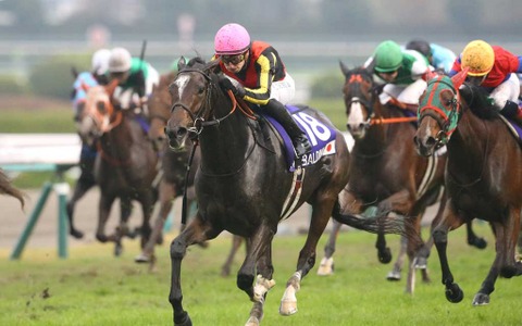 【香港国際競走】血のライバル「神姬・ディヴィーナと吉典娜・ジェラルディーナ」　異国の地で勝利目指す同志へ 画像