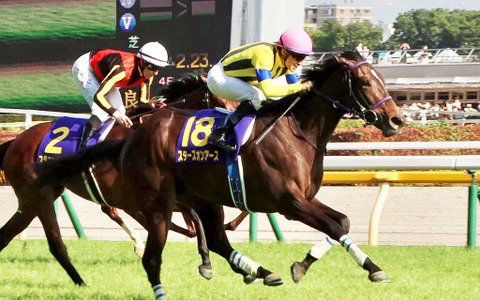 【有馬記念】枠順抽選会は本日17時よりライブ中継　タイトルホルダー、タスティエーラ、スターズオンアースら出走予定 画像