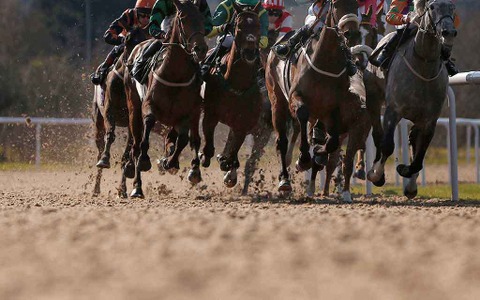 「タルマエの今日もけっぱれ！記念」船橋競馬　『ウマ娘』が全レース名をジャック 画像