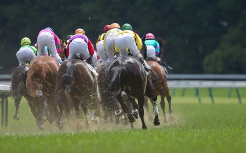 【中山記念／馬場情報】芝は良スタートも小雨模様で“稍重”に　馬場悪化で浮上する馬は… 画像