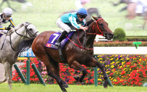 外国馬を苦しめた日本の高速馬場を“一発回答” ロマンチックウォリアー勝利の裏にある「国内マイル戦線の空洞化」【安田記念】 画像