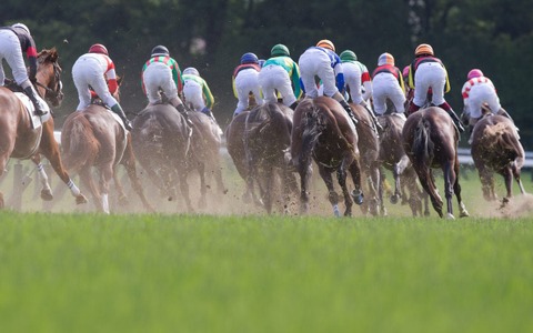 【スプリンターズS／馬場情報】高速決着が濃厚も傾向に変化　持ち時計上位の「差し」が大穴候補 画像