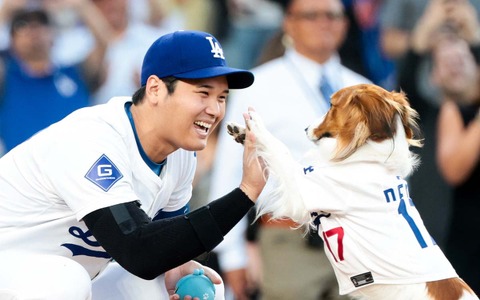 【MLB】MVP大谷翔平、今シーズンを回顧……「1番緊張した試合はデコピンの始球式」 手術した左肩については「慎重に進めていく」 画像