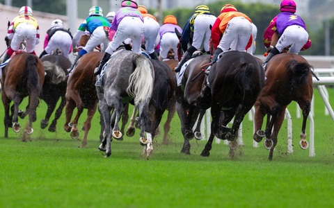 【桜花賞/馬場情報】土曜は高速馬場も日曜は雨模様 道悪で浮上する“特注”の血統は… 画像