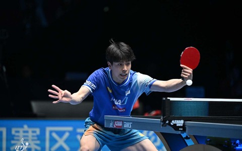 「WTTチュニス」3位の篠塚大登が21位にランクアップ 張本智和が日本勢トップ4位、松島輝空が22位|卓球男子世界ランキング(2025年第18週) 画像