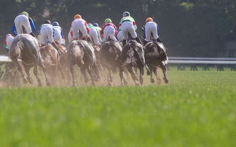 【オークス／馬場情報】「好位差し」が目立った土曜東京芝、夜間の雨で日曜東京芝は“稍重”スタート 画像