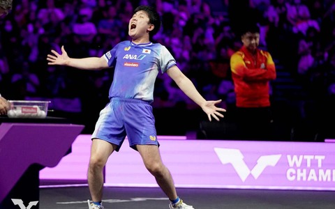 張本智和、世界2位の王楚欽を衝撃撃破で地元大会V　実った戦術変更で栄冠掴むも「これからも勝ち続けないといけない」【WTTチャンピオンズ横浜】 画像