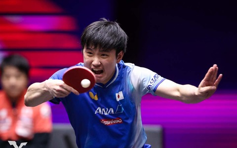 張本智和が日本勢トップ3位を3週連続キープ、松島輝空が22位　国際大会“8強入り”の村松雄斗が73位に浮上｜卓球男子世界ランキング（2025年第36週） 画像