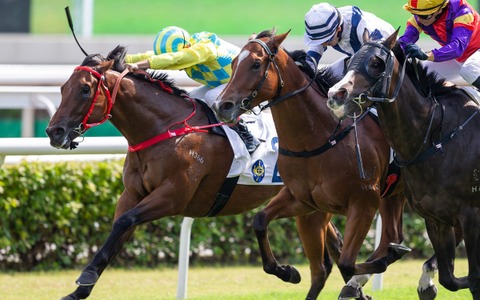 【凱旋門賞】海外ブックメーカーは前年2着アヴァンチュールと“怪物牝馬”を1番人気に　日本馬3頭のオッズは 画像