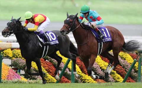 【秋華賞】ジョッキーカメラに見たカムニャックの異変と、勝敗を分けたルメール騎手の好判断に「ガチで神騎乗」の声 画像