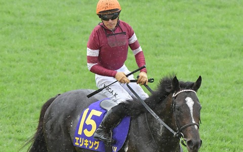 【菊花賞】ジョッキーカメラが捉えた川田将雅の2週連続“ハラハラ”ゲート内　「あー！」で発馬の災難にファン既視感 画像