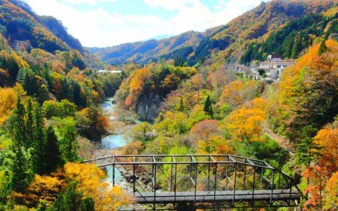 今週の土曜日に紅葉狩りはいかが？　ウェザーニューズ、第三回紅葉見頃予想 画像