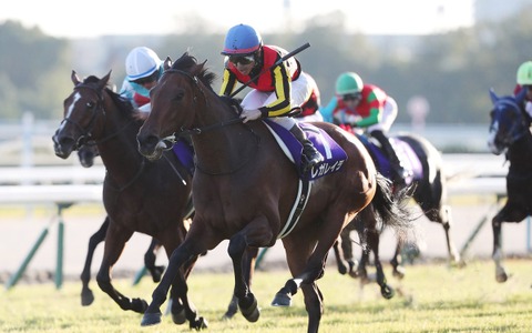 【エリザベス女王杯】ジョッキーカメラに見たレガレイラ・戸崎圭太のブレない映像に、ファン感嘆「ベリベリジョッキー」 画像