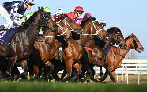 【ジャパンC／複勝回収率】傾向では安定の「逃げ」と「内枠」　過去10年データから馬券予想のヒントと好走条件を探る 画像