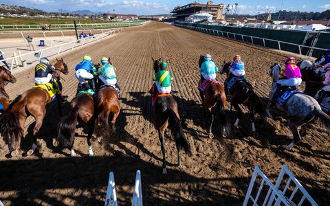 【チャンピオンズC／馬場情報】土曜は8枠好走も“イン突き”がコース攻略　枠と血統で浮上した想定“10人気”の爆穴 画像