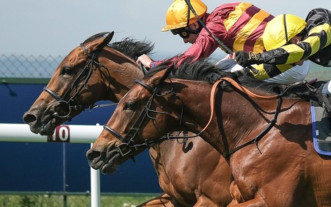 【シンザン記念／穴ライズ】実績ありも完全盲点の想定“10人気”前後に熱視線　下馬評低く「妙味たっぷり」の存在 画像