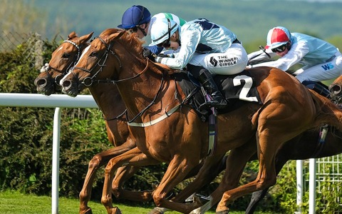 【東京新聞杯／穴ライズ】実績上位の盲点に一発の気配　「0.2.2.0」を味方に想定“2桁人気”が買いのチャンス 画像