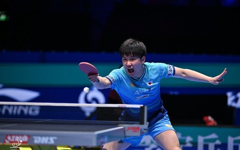 張本智和が王楚欽、モーレゴードに続く3位に復帰　松島輝空が8位でトップ10キープ　戸上隼輔は18位｜卓球男子世界ランキング（2026年第17週） 画像