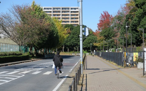 【疋田智のバイシクル物語】未来都市にこそ自転車を！ 画像