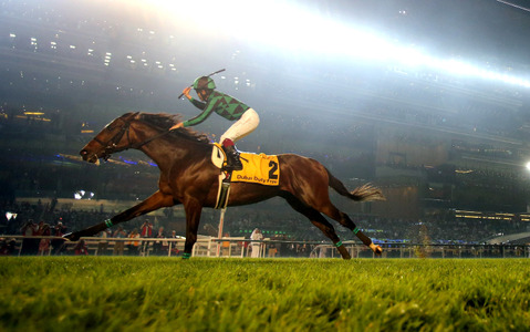 【競馬】ジャスタウェイ有馬でラストラン、2014年ドバイDFなど制す 画像