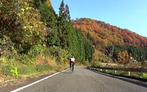 ツアー・オブ・奈良、日本の美しい紅葉を楽しむ 画像