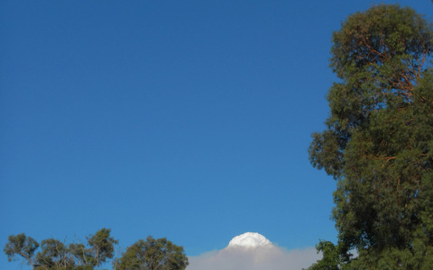南オーストラリア州の森林火災は95％終息、ツアー・ダウンアンダーは予定通り開催へ 画像