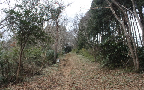 【小さな山旅】難台山のアップ＆ダウン…愛宕山～難台山（2） 画像