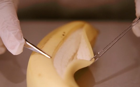 【東京マラソン15】食べられるウェアラブルデバイス「ウェアラブルバナナ」も登場 画像