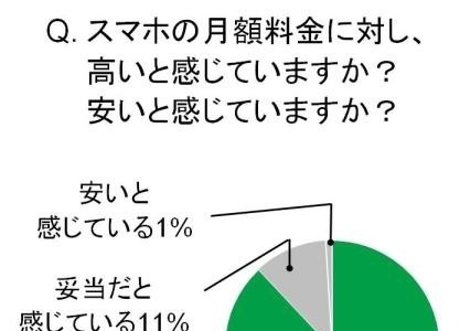 「格安スマホ」知っているは4人に1人…「興味ある」も7割以上 画像