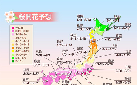 西・東日本は例年並～やや遅めの開花　ウェザーニューズ、2015年 第三回桜開花予想 画像