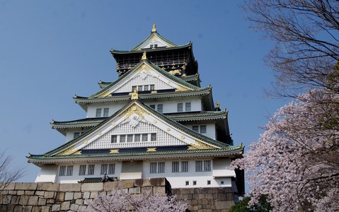 「大坂冬の陣・夏の陣」から400年となる大阪城の桜が満開へ 画像