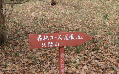 【小さな山旅】茨城県の浅間山…浅間山（1） 画像