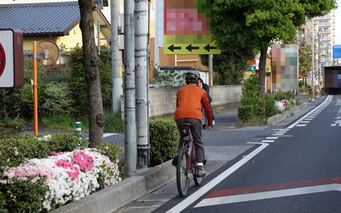 【澤田裕のさいくるくるりん】自転車の車道走行、安全には理由がある 画像