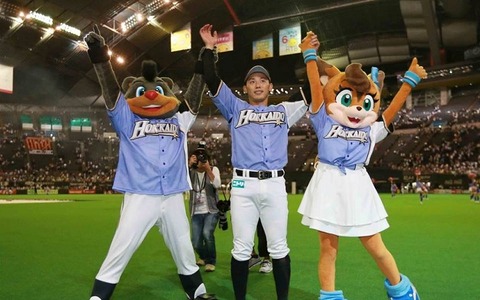 【プロ野球】日本ハム、移籍直後の矢野が逆転3点本塁打！DeNAは泥沼の10連敗… 画像