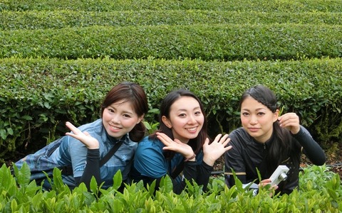 【自転車】ちゃりん娘が京都で女子限定ライド！「お茶の里散走」でティータイムを楽しむ 画像